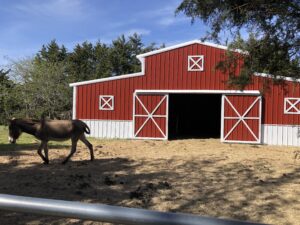 42x25x14/9 Agricultural Barn